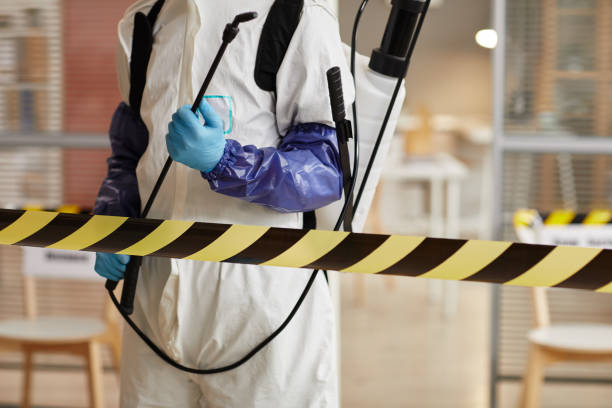 Professional Sewage Cleanup technician working in Jefferson, TX